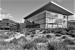 Photo of University of Wollongong Innovation Campus